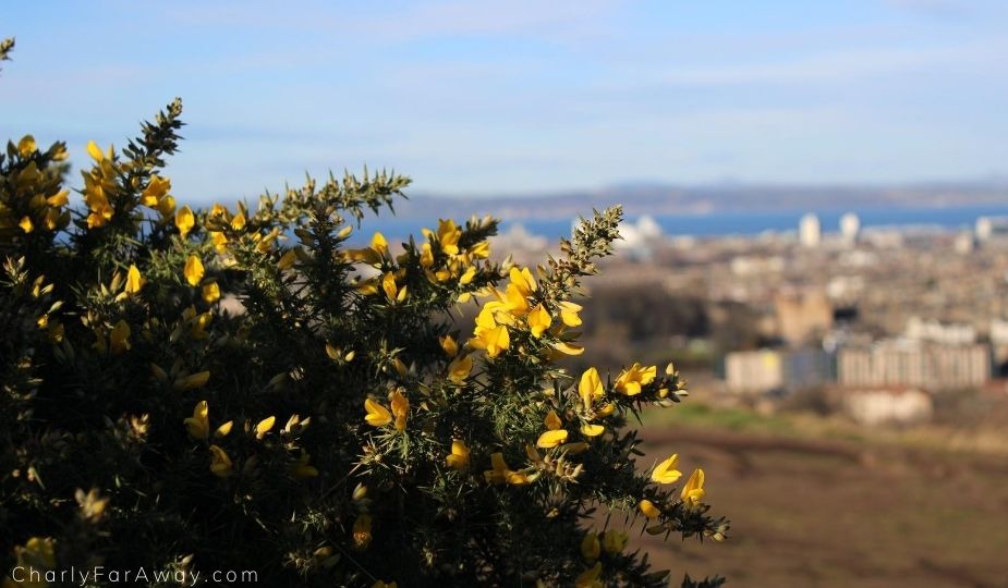 Edimbourg Holyrood Arthur's seat