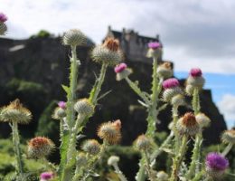 Edimbourg