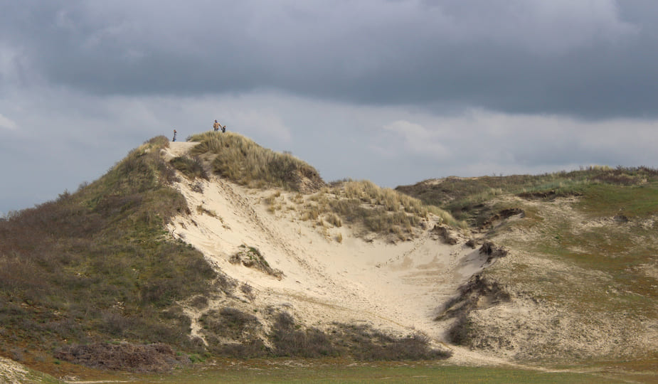 Dune Marchand réserve naturelle près des plages de Dunkerque